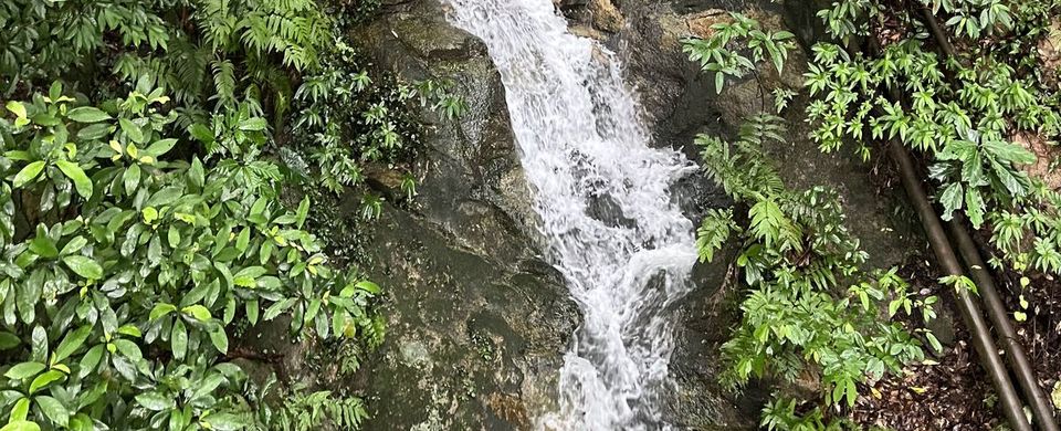 Water cascading over rocks